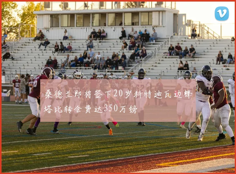 桑德兰即将签下20岁科特迪瓦边锋塔比转会费达350万镑