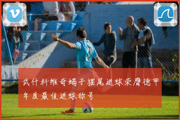 武什科维奇蝎子摆尾进球荣膺德甲年度最佳进球称号