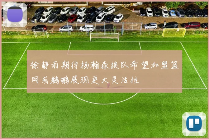 徐静雨期待杨瀚森换队希望加盟篮网或鹈鹕展现更大灵活性