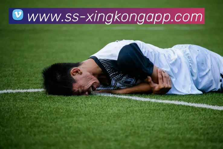星空体育APP 封面图